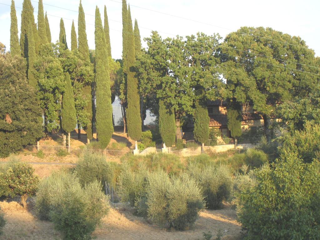 Villa Casanova Di Ricavo Gaiole in Chianti Exterior foto